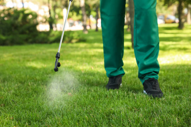 Best Residential Pest Control  in Del Rio, CA