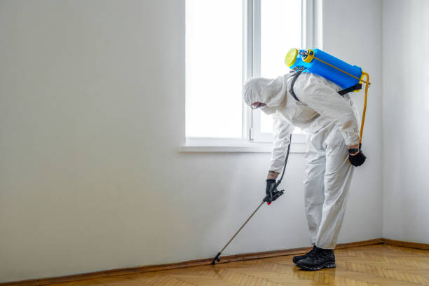 Best Pest Prevention Services  in Del Rio, CA