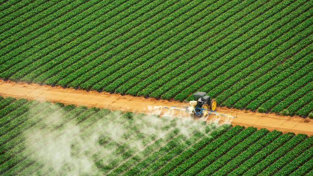 Pest Prevention Services in Del Rio, CA