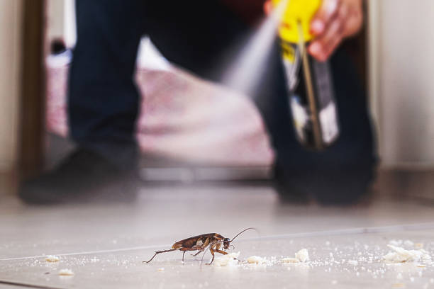 Best Pest Inspection Near Me  in Del Rio, CA