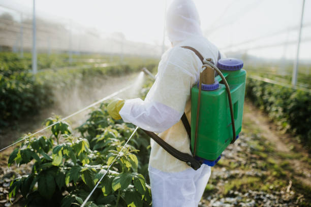 Flea Control Services in Del Rio, CA
